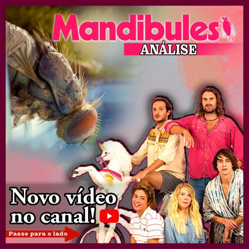 Passe no canal para assistir os vídeos