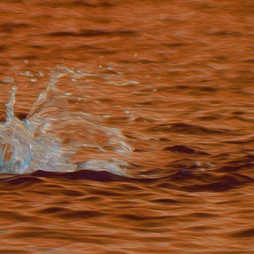 Eternal Fluid