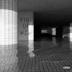 Pint of red TX-3 (VIRUN Remix)