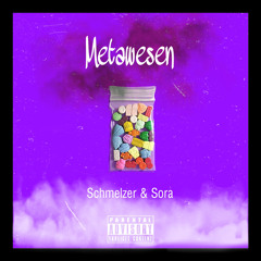 Metawesen