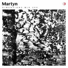 DIM200 - Martyn