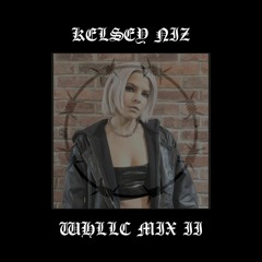 KELSEY NIZ FOR WHLLC - X002