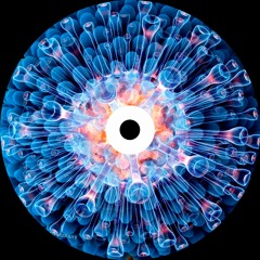 Gradient - Spune NU