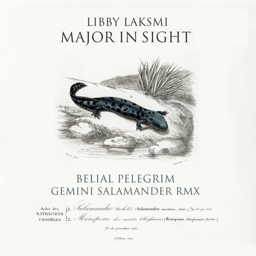 Major In Sight | Libby Laksmi [Gemini Salamander RMX]