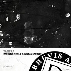Darksidevinyl & Cadillac Express - Tantra