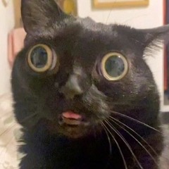 Amnesia Was Her Name Sped Up