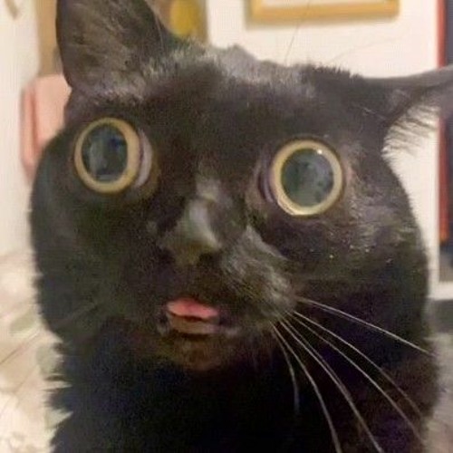 Amnesia Was Her Name Sped Up