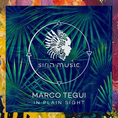 PREMIERE: Marco Tegui — Chasing The Sun (Greg Pidcock Remix) [Sirin Music]