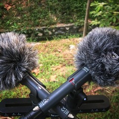 Testing AKG CK91 ORTF