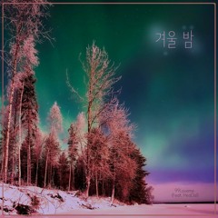 겨울 밤 (Feat. HaeDal)