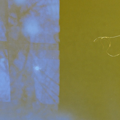 Guzy | Rebirth Of Spring XXXVI