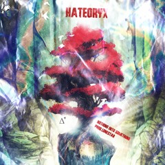 hateoryx ~ nothing into something (lonestar)