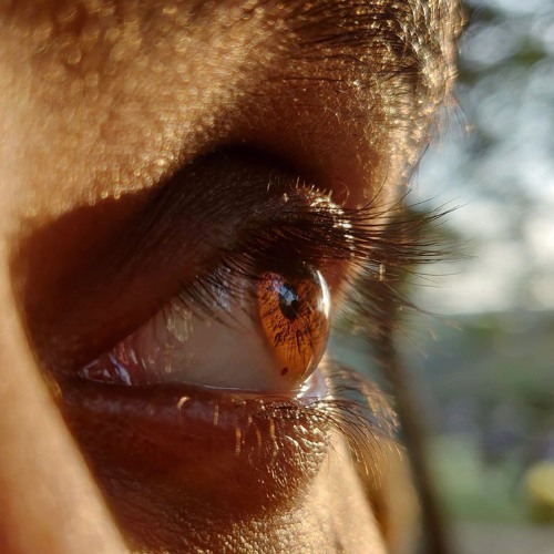 Aaj Ki Raat x Mere Mehboob (ACV Deep House Mix)  Tamannaah Bhatia x Triptii Dimri (1).mp3