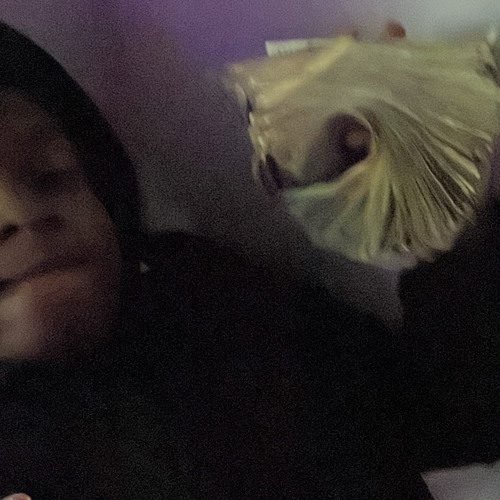 PapeChase x J3 - Got Me Started