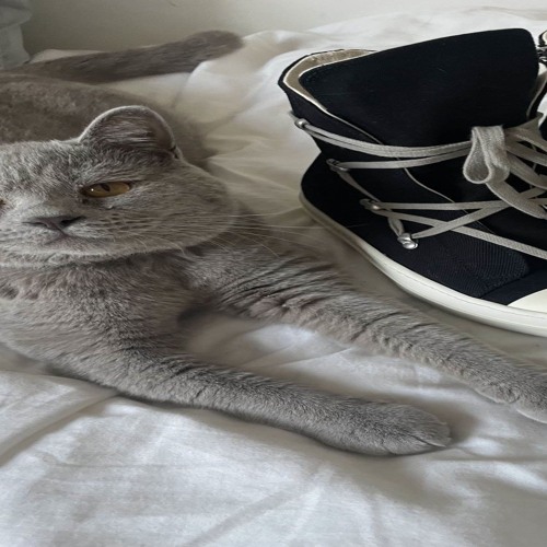 Stream Playboi Carti - New Money (LEAKED SNIPPET) 2024 by riripack