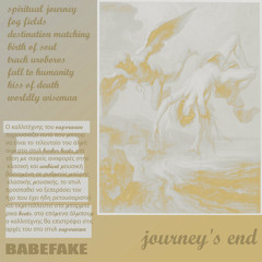 BABEFAKE - fog fields