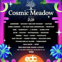 Chris Lorenzo @ cosmicMEADOW, EDC Las Vegas, United States 2023-05-21