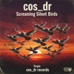 Screaming Silent Birds