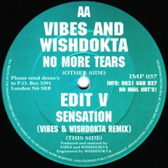 DJ Vibes & Wishdokta - No More Tears - Impact Records (1995)