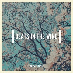 Beats In The Wind - EP
