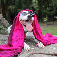 bennett said he had a god complex over riddim kids