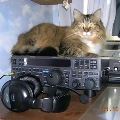 [FULL] Cherie [WOLF 2012] (2011 - 2012)