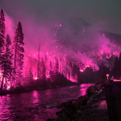 Djae1k & DrewwColdd End Of Winter Samples