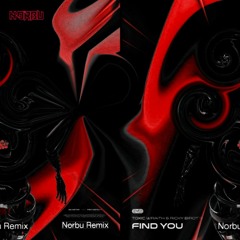 Toxic Wraith & Ricky Birotti - Find You (Nørbu Remix)