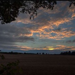 سورة الرحمن بصوت حسام الدين.