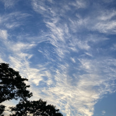 Summer Diaz ft 152jck, tf53