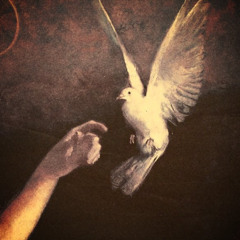 dont let go