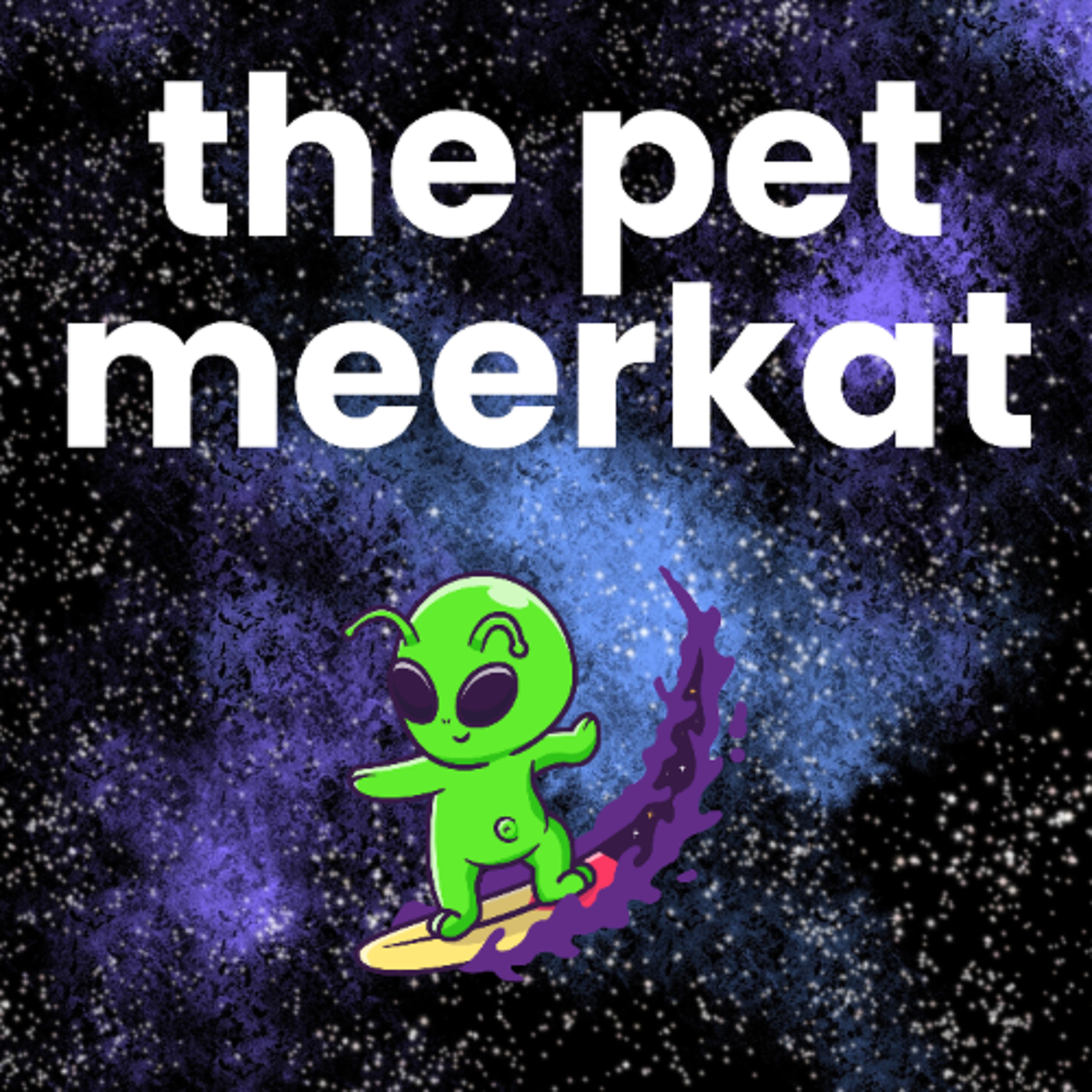 The Pet Meerkat - Luv, Layla, Liam and Chayce - School of the Nativity