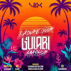I Adore You Gulabi Mash Up - DJ Vix