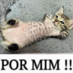 V.BRNDO - Tranquilaço