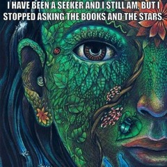 Lost Cosmic Seeker