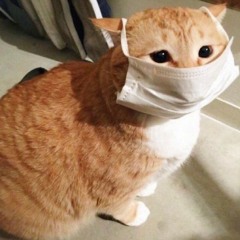밖에 나가고 싶어 (코로나 송)