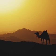 Arabic Run New arrangement