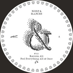 Kareem Ali - Feel Everything, All At Once