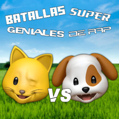 Gato vs Perro