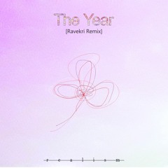 Realism - The Year (Ravekri Remix)