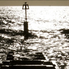 presences