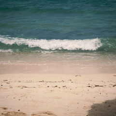 Prey- temachii cover