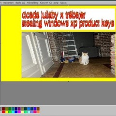 cicada lullaby x tr8bajer - stealing windows xp product keys