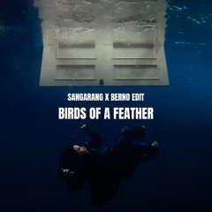 Billie Eilish - Birds Of A Feather (Sangarang X Berno Edit)