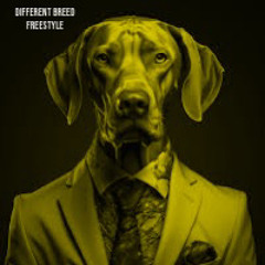 Charisma NP-Different Breed Freestyle (prod. Jammy beatz) [engineered . CNP]
