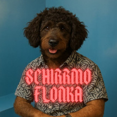 SCHIRRMO SET//FLONKA