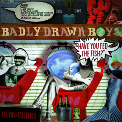 Badly Drawn Boy - Banana Skin Shoes レコード Banana Skin Shoes - YouTube