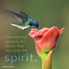 Sept. 11, 2022 - Peace is Nectar for Spirit (full message)