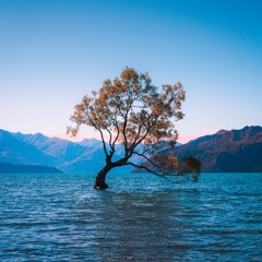 سورة ابراهيم كامله - تلاوة هادئه  اسلام صبحي  Surah Ibrahim