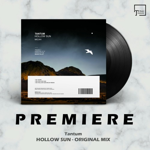 PREMIERE: Tantum - Hollow Sun (Original Mix) [MANGO ALLEY]